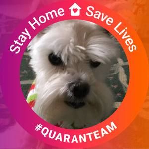 Meet your Posher, Debra